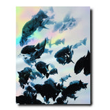 The Coral Triangle - The Wild Showcase