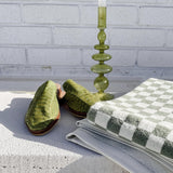 THE DANI - THE WILD SHOWCASE