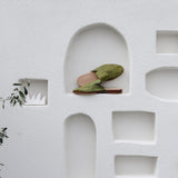 THE DANI - THE WILD SHOWCASE