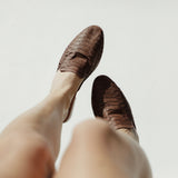 THE ELLIDY - THE WILD SHOWCASE