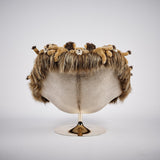 THE LION KING - The Wild Showcase