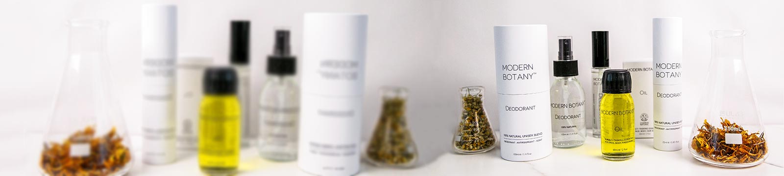 Modern Botany – THE WILD SHOWCASE